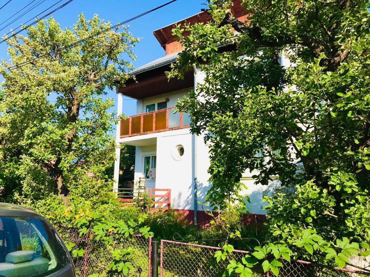Apartament Vica Gura Humorului Luaran gambar